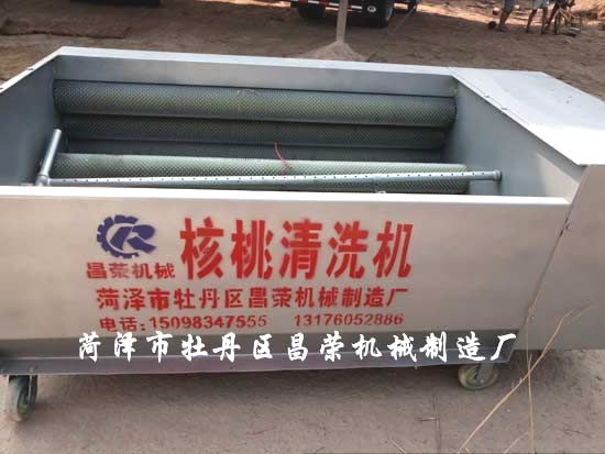 核桃清洗機(jī)
