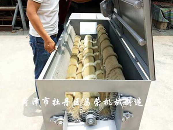 白蘿卜清洗機