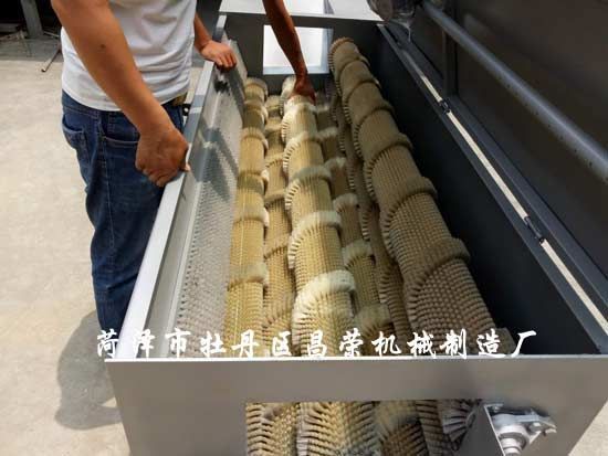 白蘿卜清洗機