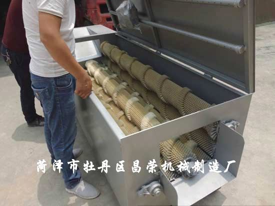 白蘿卜清洗機