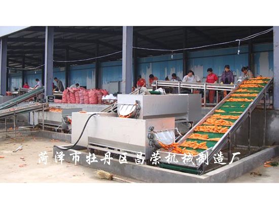 胡蘿卜清洗機